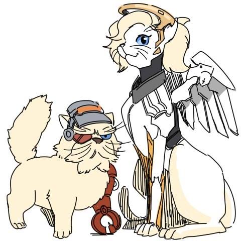 
Torbjörn và Mercy

