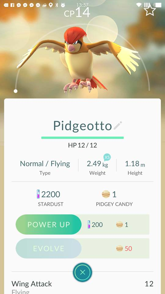  Pidgey đã tiến hóa lên Pidgeotto. 