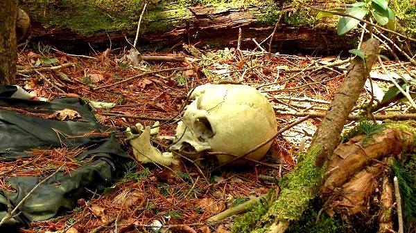 
Khu rừng Aokigahara vốn là nơi tự sát ưa thích của nhiều người Nhật Bản
