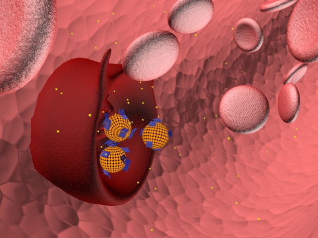  Các liposome có cấu tạo nano trong lòng mạch máu. 