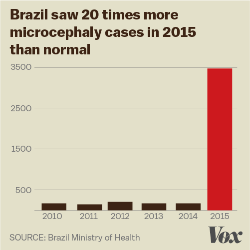  Riêng năm 2015, số trường hợp nhiễm Zika tại Brazil tăng gấp 20 lần so với các năm trước. 