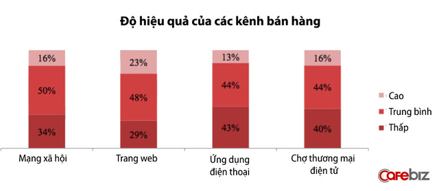  Tuy nhiên khảo sát cho thấy mức độ hài lòng khi mua hàng qua kênh bán hàng là trang web vẫn khá cao, có tới 60% khách hàng được khảo sát cảm thấy hài lòng. Vì vậy các nhà TMĐT ở Việt Nam có thể kết hợp cả hai hình thức mạng xã hội quảng bá và trang web để tiến hành công việc kinh doanh. 