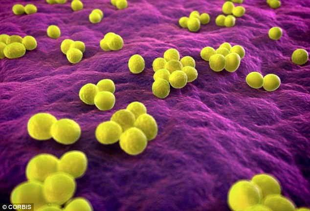  Dòng kháng sinh mới nhất được tổng hợp trong 30 năm có thể giúp con người chiến thắng cuộc chiến với vi khuẩn kháng thuốc 