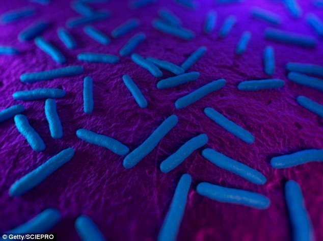  Vi khuẩn E. coli trước đây cũng có thể mang gen kháng thuốc mcr-1 