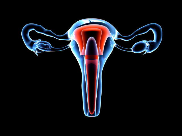 Cấy ghép tử cung mang lại cơ hội cho nhiều phụ nữ trên thế giới