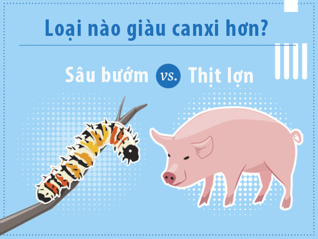 Côn trùng là nguồn cung cấp canxi tuyệt vời. So sánh cùng trọng lượng, côn trùng luôn có hàm lượng canxi lớn hơn thịt. Trong số đó, sâu bướm là loài bỏ xa tất cả. 100 gam sâu bướm chứa gấp 100 lần canxi trong lượng tương đương của thịt lợn.