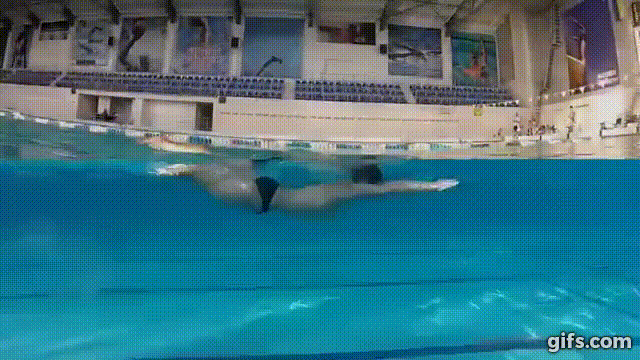  Dolphin kick. 