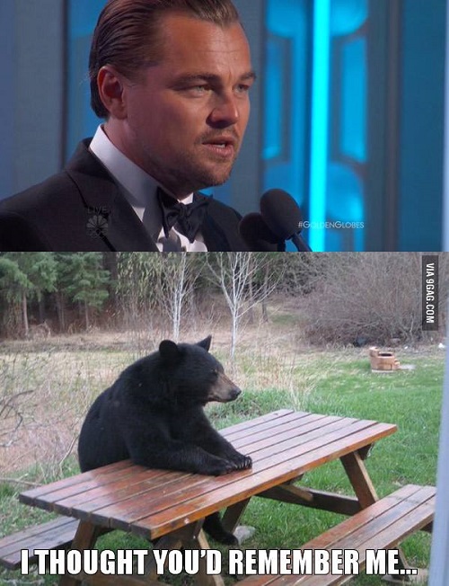 
Trong bài diễn văn của mình, Leonardo DiCaprio đã quên cảm ơn... chú gấu, bạn diễn của anh trong The Revenant
