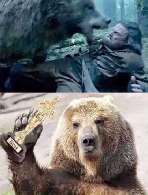 
Biết đâu chú gấu sẽ có màn báo thù tại Oscar, và vận rủi của Leonardo lại tiếp tục?
