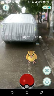 
Bắt Pokemon ngay ngoài đường
