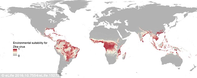  Mùa hè này, điểm đến tiếp theo của Zika có thể là Châu Âu 