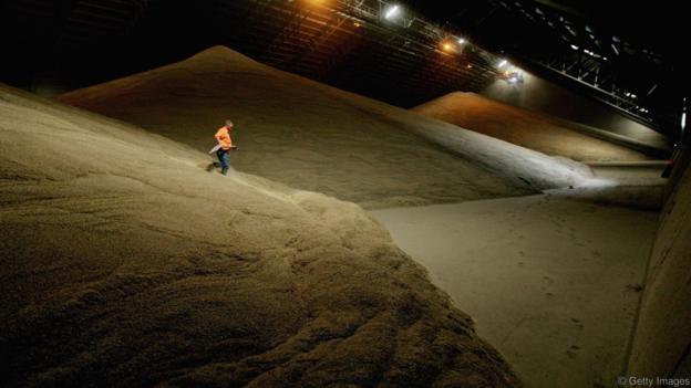 
Hiệu ứng cát lún cho thấy việc rơi vào một silo đầy ngũ cốc đôi khi cũng gây ra chết người
