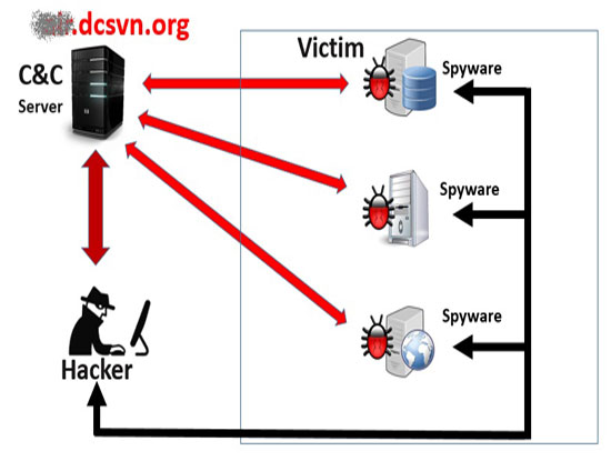 
Sơ đồ tấn công của mã độc đã được cài vào hệ thống của Vietnam Airlines (Ảnh Bkav cung cấp)
