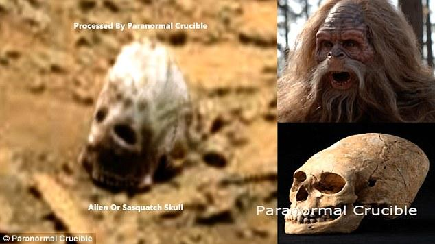  Hộp sọ này không phải là vật thể khả nghi đầu tiên được phát hiện từ ảnh chụp của tàu thăm dò Curisoity. 