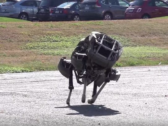  Robot Wild Cat của Boston Dynamics. 