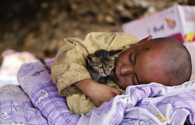 Một chú bé ôm lấy con mèo của mình và thiếp đi ở nơi an toàn sau vụ động đất ở Lỗ Điện, Trung Quốc. Trận động đất này xảy ra vào ngày 5 tháng 8 năm 2014 đã cướp đi sinh mạng của 600 con người nơi đây.
