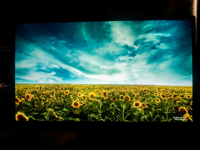 Đánh giá màn hình ViewSonic VX2370S, khả năng hiển thị xuất sắc cùng thiết kế đẹp