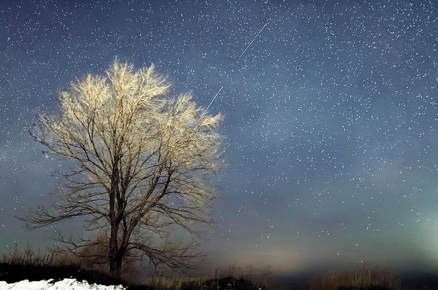  Sao băng và nhánh cây. Ảnh do nhiếp ảnh gia người Nga, Vlad Stepanov, chụp lại. 