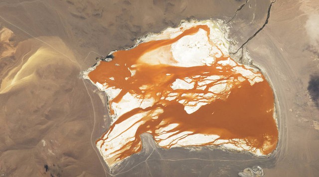  Hồ muối cạn Laguna Colorada ở Bolivia, thuộc vườn dự trữ sinh quyển quốc gia Eduardo Avaroa Andean và gần biên giới Chile. Hồ này chứa đảo borax, có màu trắng tương phản với màu đỏ của vùng biển, đó là do trầm tích màu đỏ và màu của một số loại tảo. 