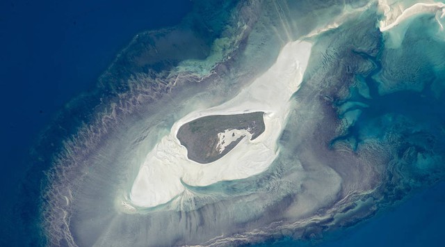  Đảo Adele ở Úc. 