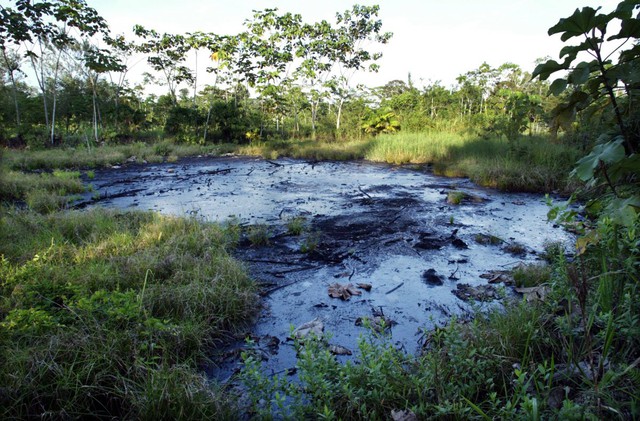 Hố chất thải chứa đầy dầu thô bị bỏ lại từ quá trình khai thác dầu diễn ra trước đó vài năm tại một khoảng rừng thưa ở Sacha, Ecuador. Bức ảnh được chụp vào 21/10/2003.