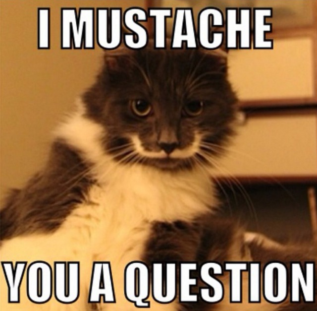 Ребята а кэт не видели. Бубенчики кота. Cats are such cats. Cats are such cats. Котик кушал мертвеца подождав сперва.