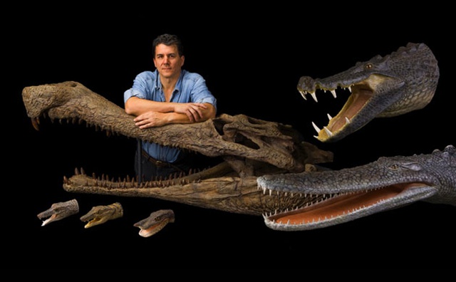 
Nhà cổ sinh vật học Paul Sereno bên cạnh những hàm răng cá sấu được tái tạo.
