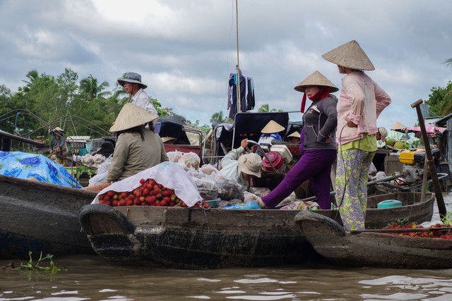 Đi chợ nổi ở sông Mê Kông.