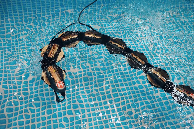  HiBot ACM-R5H là một con rắn robot có thể được sử dụng cho mục đích nghiên cứu, biểu diễn nghệ thuật, và thăm dò chỗ chật hẹp, ngập nước. 