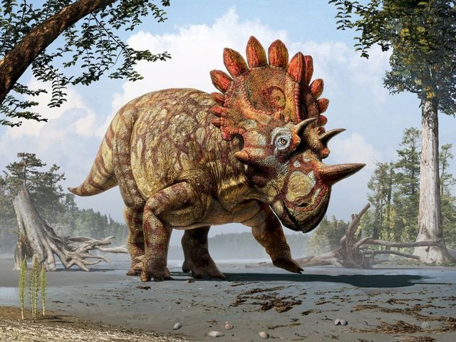  Đâu mới là nguyên nhân khiến khủng long tuyệt chủng? 