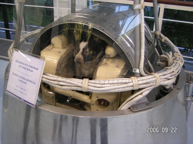  Phiên bản mô phỏng lại khoang chứa Laika trên Sputnik 2 tại một bảo tàng. 