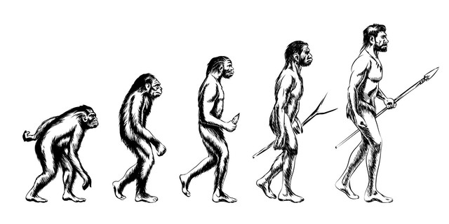 
Thuyết tiến hóa của Darwin vẫn gây ra tranh luận cho nhiều người
