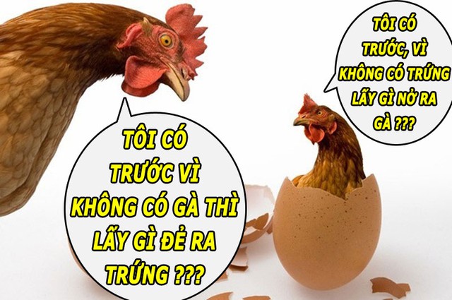 Trứng gà có trước hay con gà có trước là một trong những câu hỏi hóc búa bậc nhất thế giới.