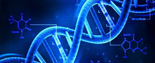 
Bằng phương pháp chỉnh sửa gen, con người có thể trẻ mãi không già?

