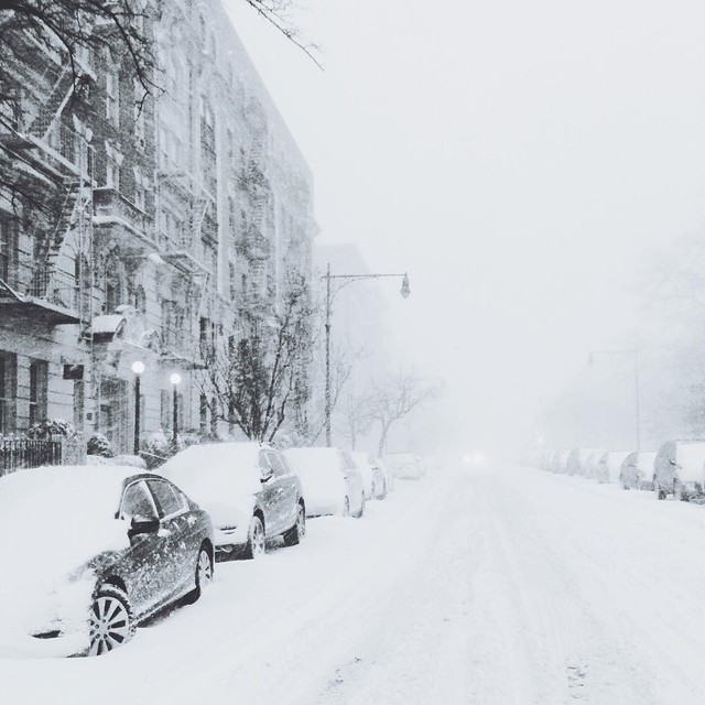  Tuyết phủ trắng đường ngày hôm qua tại New York, Mỹ. Ảnh: Khrysnyc. 