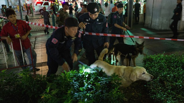  Chó nghiệp vụ được cảnh sát Thái Lan sử dụng để điều tra một vụ nổ 