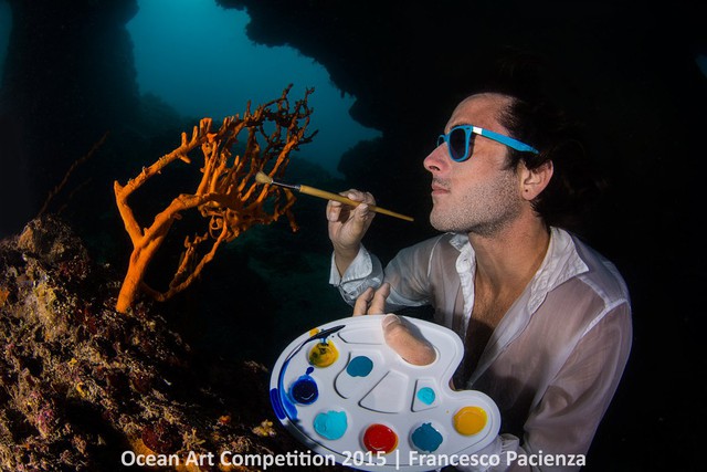 Francesco Pacienza đã giành giải nhất hạng mục “Tổng thể tốt nhất” cho bức hình mô tả anh ấy đang tô vẽ một đám bọt biển Axinella sâu dưới nước vùng Santa Maria al Bagno, Apulia, Ý.