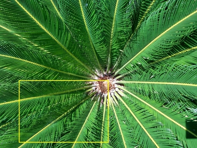  Chọn vùng crop 