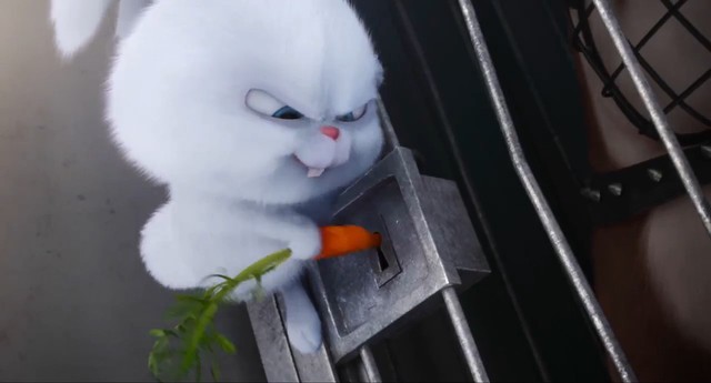 Thỏ Snowball | Minion, Ảnh tường cho điện thoại, Dễ thương