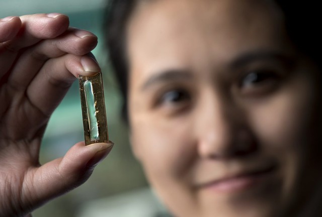  Mye Le Thai và viên pin lithium làm từ nano. Nguồn ảnh: UIC 