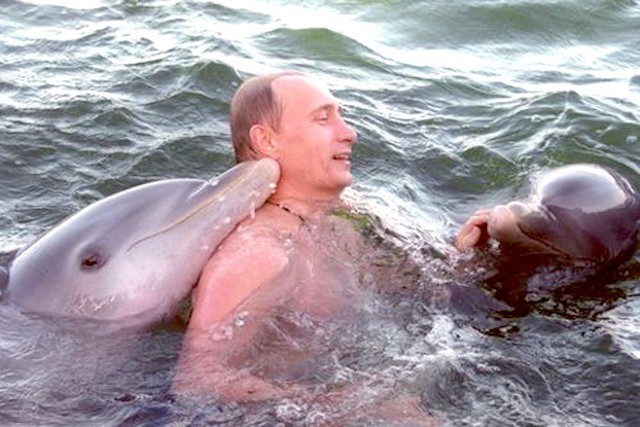  Tổng thống Nga Putin chơi đùa cùng những chú cá heo 
