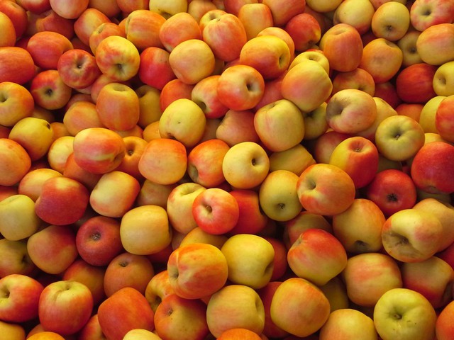  Những quả táo này bị loại bởi đường kính của chúng nhỏ hơn kích thước yêu cầu tới 5cm. 