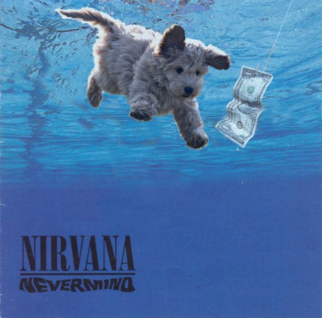  Nirvana phong cách cún con. 
