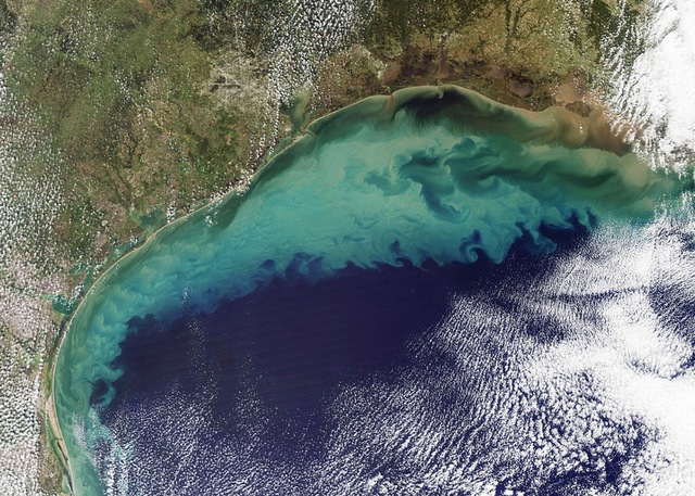  Ảnh vệ tinh chụp vùng biển chết của Vịnh Mexico vào năm 2010. 