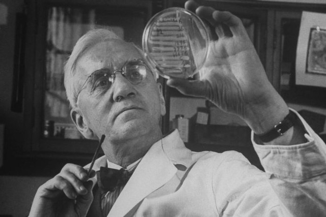  Alexander Fleming, người đã tình cờ phát minh ra penicillin 