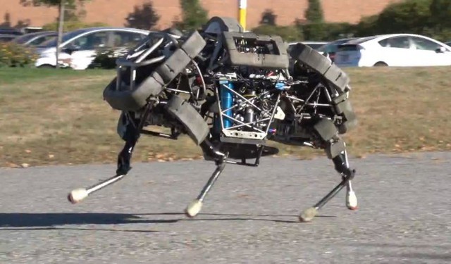 Với khả năng di chuyển phi thường giống như một sinh vật sống, Wildcat có thể chạy với vận tốc 25,7km/h trên mặt đất, nhảy lên hay phi nước đại giống như loài động vật thực thụ. Loại robot này được thiết kế để hỗ trợ cho lính chiến đấu trên đất liền. Sau này, nó sẽ có thể chạy nhanh trong mọi kiểu địa hình.
