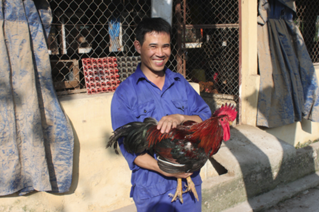 Anh Văn Hào hiện đang sở hữu một trang trại chăn nuôi gà đẻ con giống.