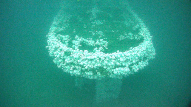  Phần boong tàu được tìm thấy dưới biển 