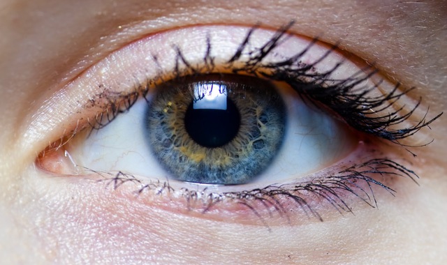 Sự tiến hóa của mắt là có thể giải thích 