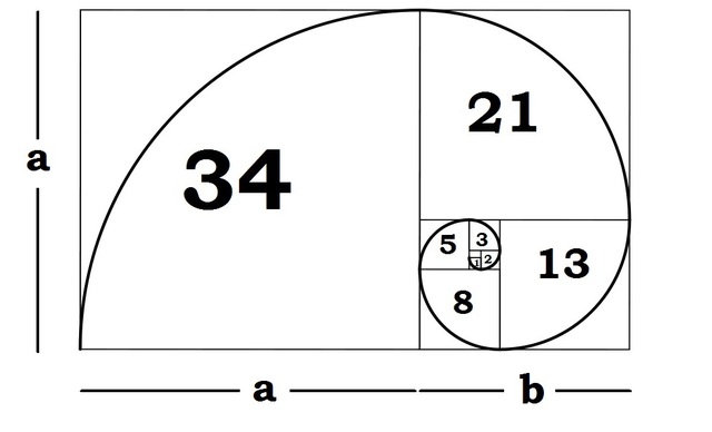  Dãy Fibonacci được sử dụng để xây dựng thước đo tỷ lệ vàng 